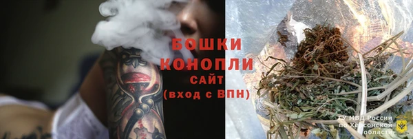 дживик Абаза