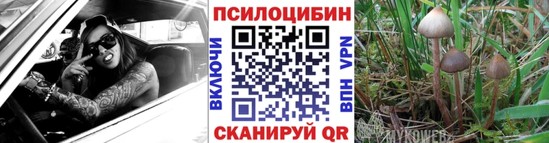 Псилоцибиновые грибы прущие грибы Дивногорск